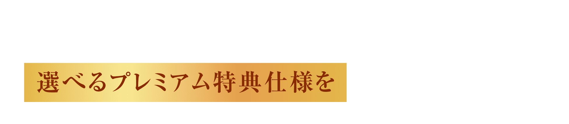 選べるプレミアム特典仕様をお選びいただけます。